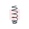 Apec Coil Spring ACS1174 thumbnail