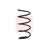 Apec Coil Spring ACS1178 thumbnail