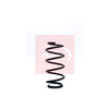 Apec Coil Spring ACS1193 thumbnail