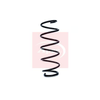 Apec Coil Spring ACS1195 thumbnail