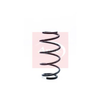 Apec Coil Spring ACS1197 thumbnail