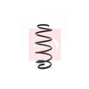 Apec Coil Spring ACS1198 thumbnail