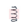 Apec Coil Spring ACS1227 thumbnail