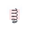 Apec Coil Spring ACS1238 thumbnail
