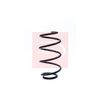 Apec Coil Spring ACS1248 thumbnail