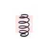 Apec Coil Spring ACS1255 thumbnail