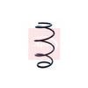 Apec Coil Spring ACS1256 thumbnail