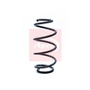 Apec Coil Spring ACS1283 thumbnail
