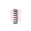 Apec Coil Spring ACS1284 thumbnail