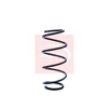 Apec Coil Spring ACS1303 thumbnail
