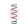 Apec Coil Spring ACS1305 thumbnail