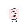 Apec Coil Spring ACS1307 thumbnail