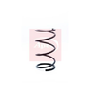 Apec Coil Spring ACS1309 thumbnail
