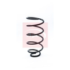 Apec Coil Spring ACS1310 thumbnail
