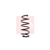 Apec Coil Spring ACS1332 thumbnail