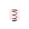Apec Coil Spring ACS1339 thumbnail