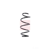 Apec Coil Spring ACS1341 thumbnail
