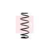 Apec Coil Spring ACS1362 thumbnail