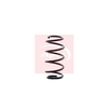 Apec Coil Spring ACS1363 thumbnail