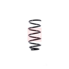 Apec Coil Spring ACS1370 thumbnail