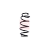 Apec Coil Spring ACS1377 thumbnail