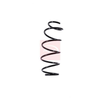 Apec Coil Spring ACS1376 thumbnail
