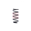 Apec Coil Spring ACS1398 thumbnail