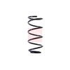 Apec Coil Spring ACS1403 thumbnail