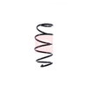 Apec Coil Spring ACS1433 thumbnail