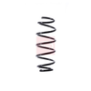 Apec Coil Spring ACS1449 thumbnail