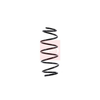 Apec Coil Spring ACS1454 thumbnail