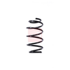 Apec Coil Spring ACS1457 thumbnail