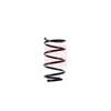 Apec Coil Spring ACS1463 thumbnail