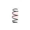Apec Coil Spring ACS1487 thumbnail