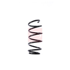 Apec Coil Spring ACS1503 thumbnail