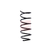 Apec Coil Spring ACS1538 thumbnail