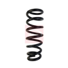 Apec Coil Spring ACS1557 thumbnail