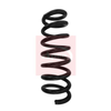 Apec Coil Spring ACS1598 thumbnail
