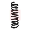 Apec Coil Spring ACS1602 thumbnail