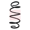 Apec Coil Spring ACS1611 thumbnail