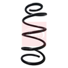 Apec Coil Spring ACS1609 thumbnail
