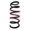 Apec Coil Spring ACS1641 thumbnail
