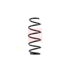 Apec Coil Spring ACS1651 thumbnail