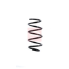 Apec Coil Spring ACS1654 thumbnail