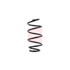 Apec Coil Spring ACS1655 thumbnail