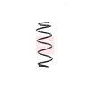 Apec Coil Spring ACS1669 thumbnail