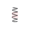Apec Coil Spring ACS1671 thumbnail