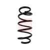 Apec Coil Spring ACS1675 thumbnail