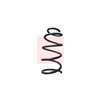 Apec Coil Spring ACS1709 thumbnail