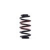 Apec Coil Spring ACS1744 thumbnail